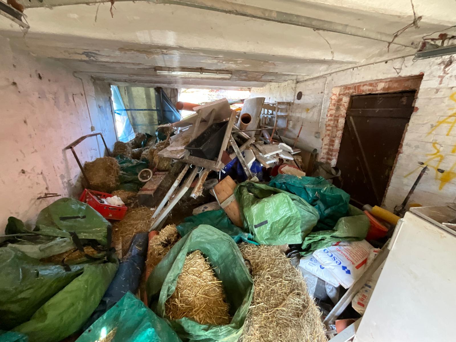 Express-Service 48h - Bild 1